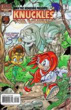 Knuckles 29 cover picture