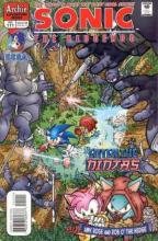 Sonic the Hedgehog 111 cover picture