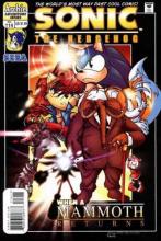 Sonic the Hedgehog 114 cover picture