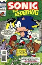 Sonic the Hedgehog 20 cover picture