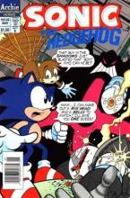 Sonic the Hedgehog 22 cover picture