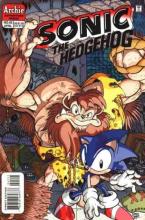 Sonic the Hedgehog 45 cover picture