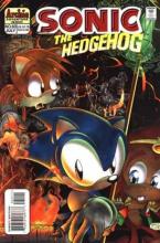 Sonic the Hedgehog 60 cover picture