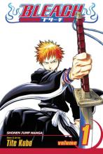 Bleach Volume 1 cover picture