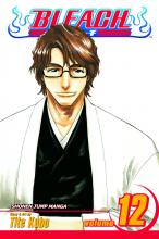 Bleach Volume 12 cover picture