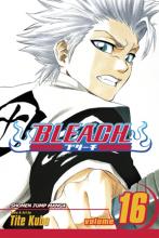 Bleach Volume 16 cover picture