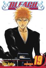 Bleach Volume 19 cover picture