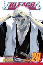 Bleach Volume 20 cover picture