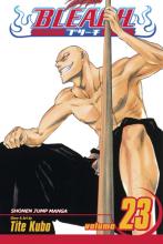 Bleach Volume 23 cover picture