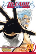 Bleach Volume 24 cover picture