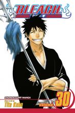 Bleach Volume 30 cover picture