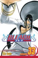 Bleach Volume 33 cover picture