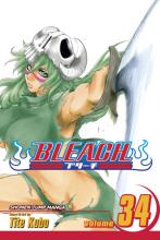 Bleach Volume 34 cover picture