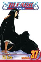 Bleach Volume 37 cover picture