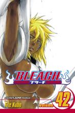Bleach Volume 42 cover picture
