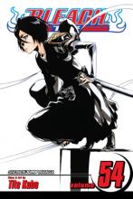 Bleach Volume 54 cover picture