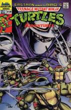 Teenage Mutant Ninja Turtles Adventures 01 cover picture