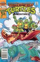 Teenage Mutant Ninja Turtles Adventures 17 cover picture