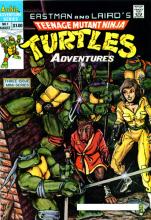 Teenage Mutant Ninja Turtles Adventures v1 01 cover picture