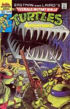 Teenage Mutant Ninja Turtles Adventures 02 cover picture