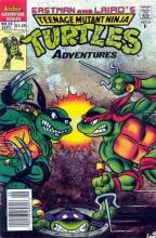 Teenage Mutant Ninja Turtles Adventures 24 cover picture