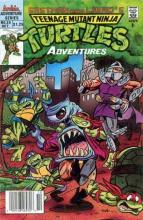 Teenage Mutant Ninja Turtles Adventures 25 cover picture