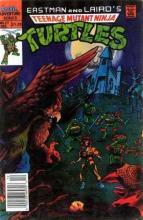 Teenage Mutant Ninja Turtles Adventures 27 cover picture