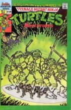 Teenage Mutant Ninja Turtles Adventures 03 cover picture