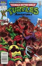 Teenage Mutant Ninja Turtles Adventures 34 cover picture