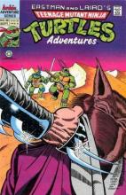 Teenage Mutant Ninja Turtles Adventures 36 cover picture