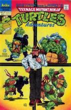 Teenage Mutant Ninja Turtles Adventures 37 cover picture