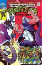 Teenage Mutant Ninja Turtles Adventures 04 cover picture