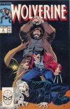 Roughouse! Roughouse! cover picture