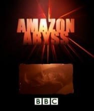 Amazon Abyss cover picture