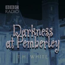 Darkness at Pemberley cover picture