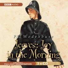 Joy in the Morning cover picture