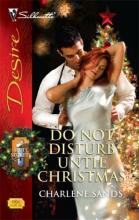 Do Not Disturb Until Christmas cover picture