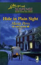 Hide In Plain Sight cover picture