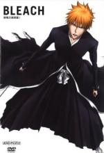 Bleach Season 13 Zanpakuto The Alternate Tale