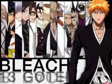 Bleach Season 15 Gotei 13 Invading Army