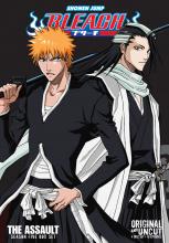 Byakuya Takes the Field! Dance of the Wind-Splitting Cherry Blossoms cover picture