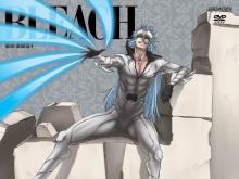 Bleach Season 8 The Arrancar 2 The Fierce Fight