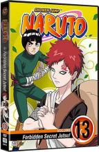 Naruto Volume 13 cover picture
