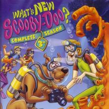 A Scooby-Doo Valentine cover picture