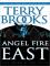 Angel Fire East cover picture