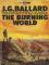 The Burning World cover picture