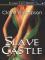 Slave Castle book cover