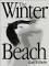 Winter Beach cover picture