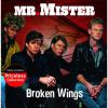 Broken Wings cover picture