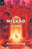 So You Want To Be A Wizard cover picture